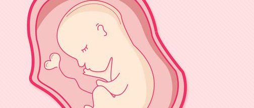 2026山东省试管成功率前十医院排行榜，口碑与成功案例看这里